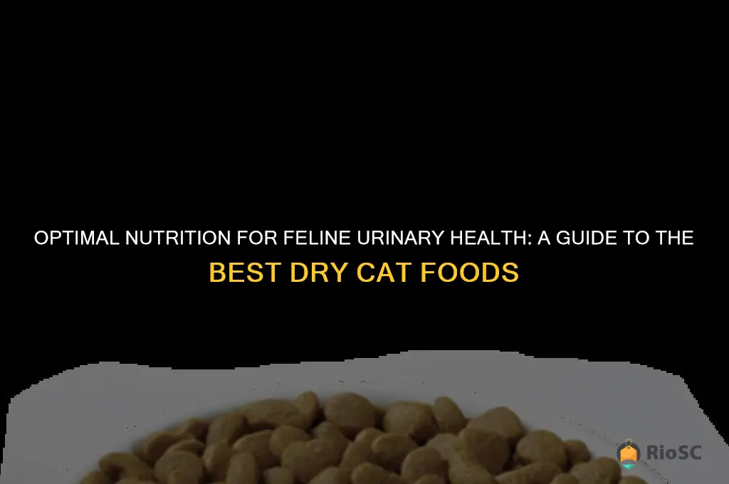 nutritional info for best urinary tract health dry cat food