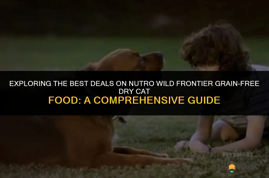 nutro wild frontier grain free dry cat food best price