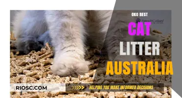 Oko Best Cat Litter Australia: Why Pet Owners Are Switching to This Eco-Friendly Option