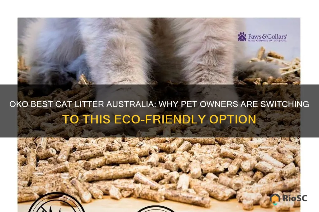 Image showcasing Oko Best Cat Litter Australia: Why Pet Owners Are Switching To This Eco ...