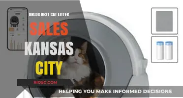 Kansas City's Top Choice: Discover the World's Best Cat Litter on Sale Now!