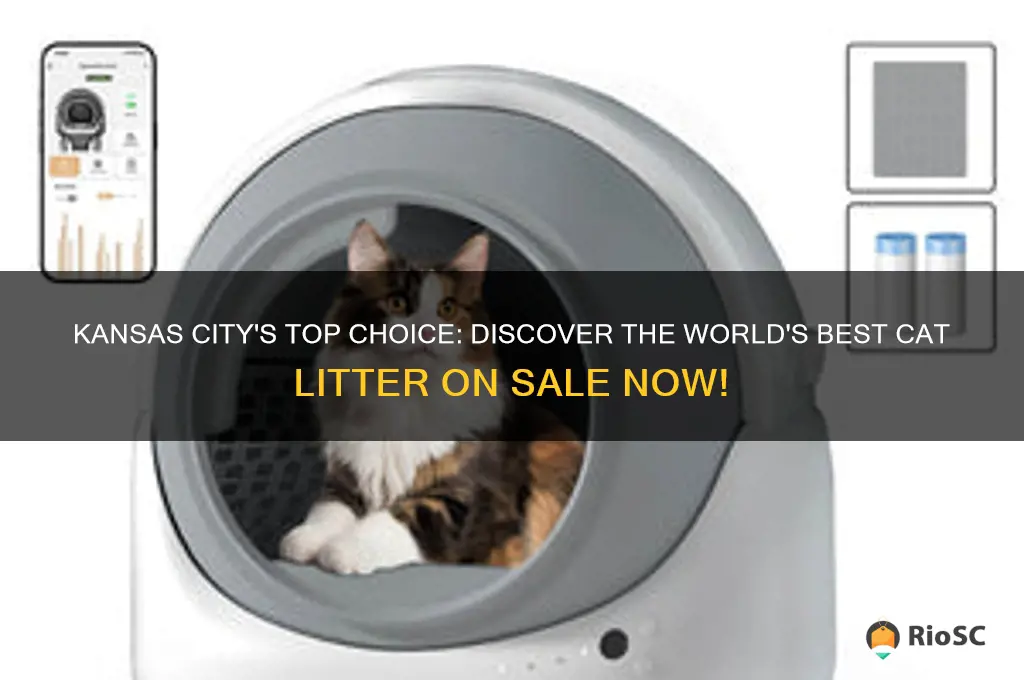 orlds best cat litter sales kansas city