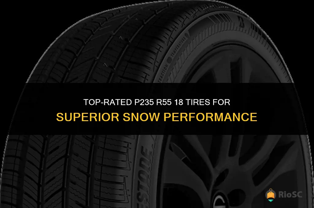 p235 r55 18 tires best for snow