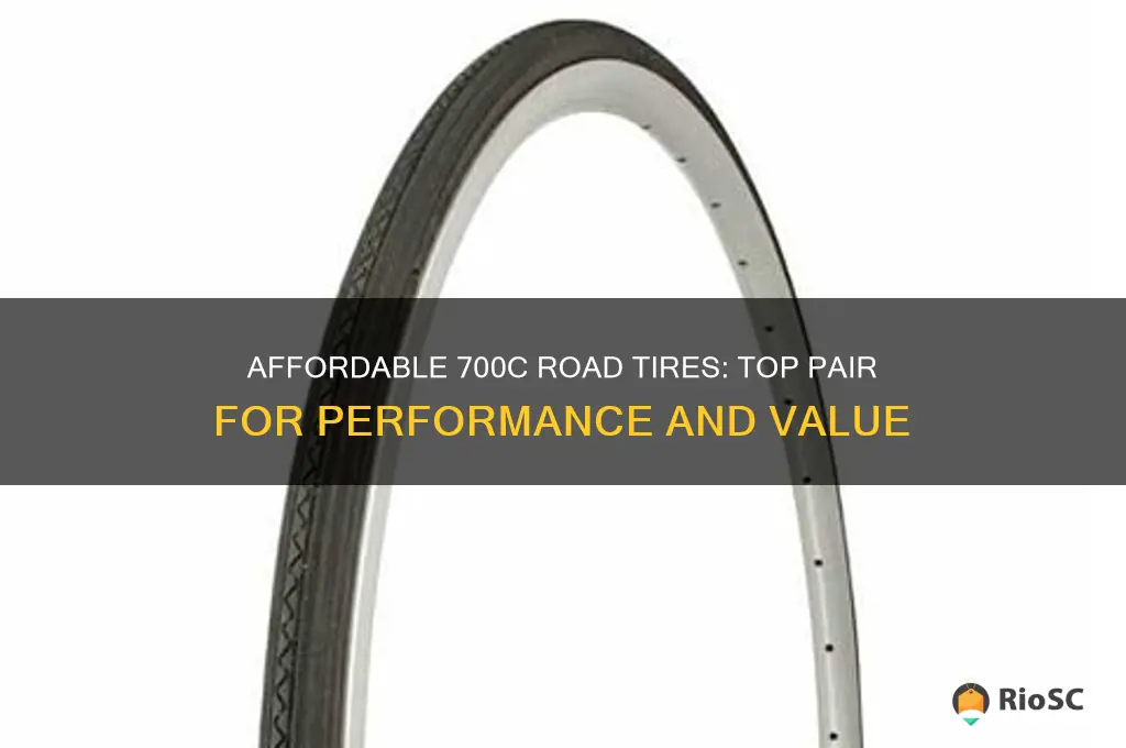 pair of 700c road tires best price
