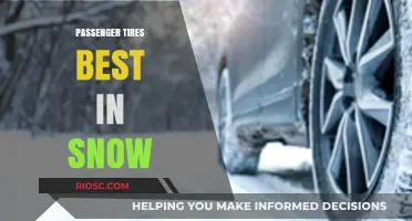 Top Picks for Winter Roads: Unveiling the Best Passenger Tires for Snow Performance