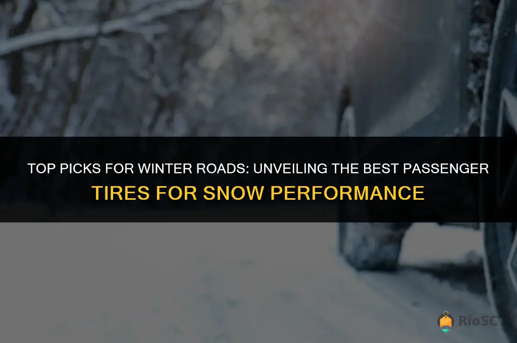 passenger tires best in snow