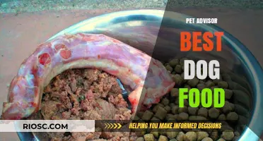 Top Picks for Your Furry Friend: Pet Advisor's Best Dog Food Recommendations