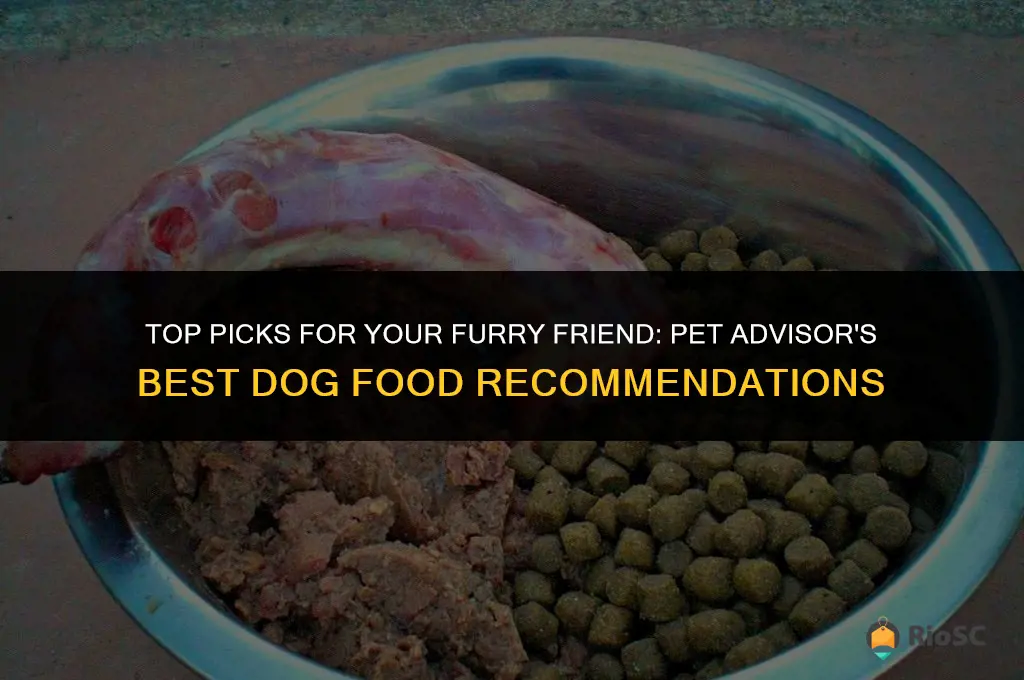 pet advisor best dog food