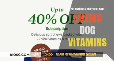 Boost Your Dog's Health with Pet Naturals Daily Best Soft Chews Dog Vitamins
