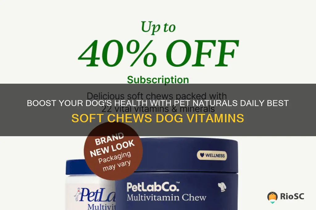 pet naturals daily best soft chews dog vitamins