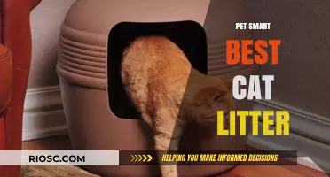 PetSmart's Best Cat Litter: Top Picks for a Clean and Odor-Free Home