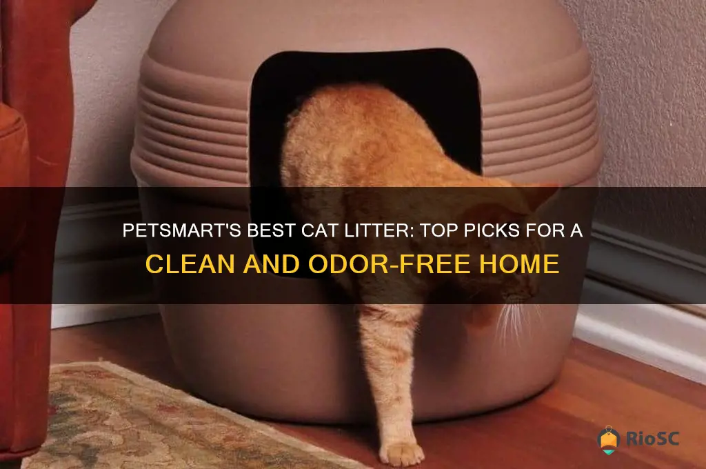 pet smart best cat litter