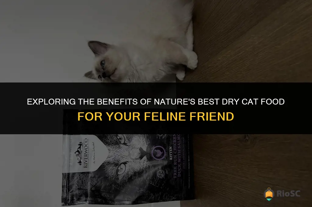 pet supplies natures best dry cat food