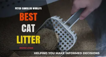 Revolutionize Your Cat's Litter Box Experience with Petco Camillus World's Best Cat Litter