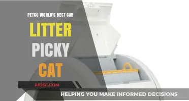 Revolutionizing Cat Care: Petco's World's Best Car Litter for Picky Cats