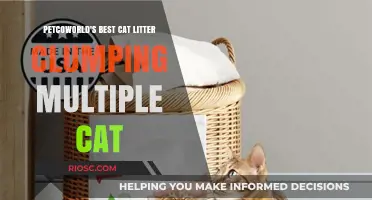 PetcoWorld's Best Cat Litter: Superior Clumping for Multi-Cat Homes