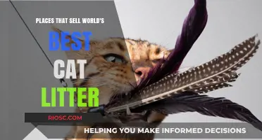 Purr-fect Picks: Top Places to Buy the World's Best Cat Litter