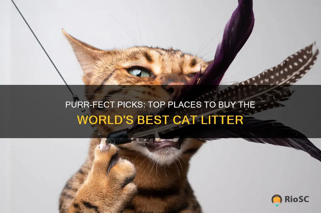 places that sell world