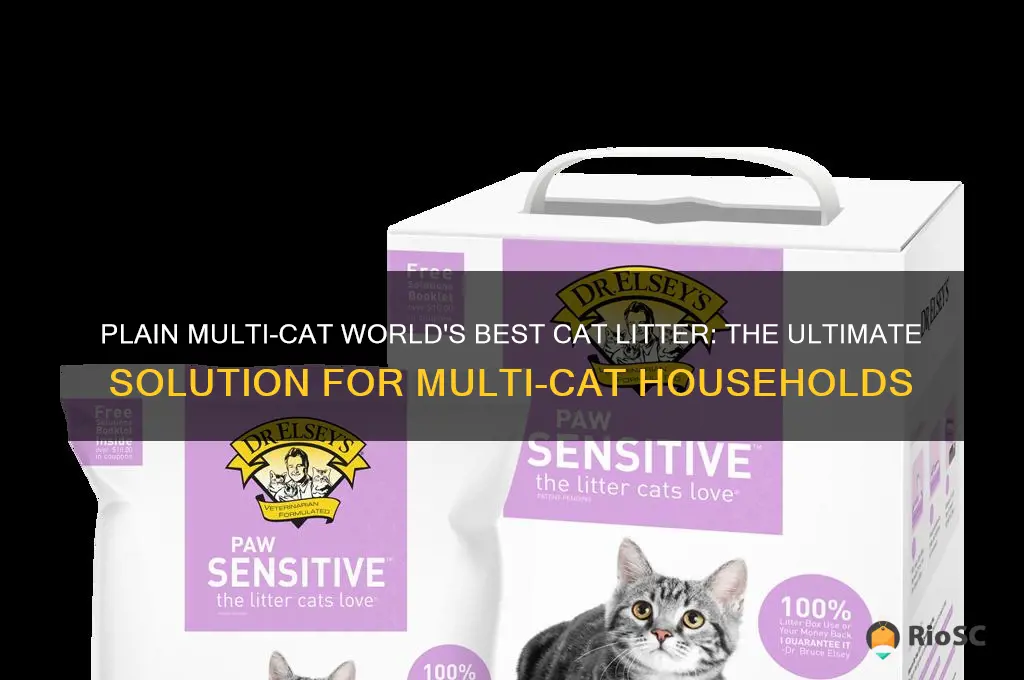 plain multi-cat world