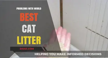 World’s Best Cat Litter: Uncovering Common Complaints and Concerns