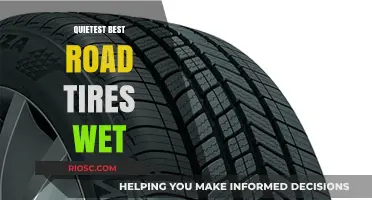 Silent and Smooth: The Quietest Road Tires for Wet Conditions