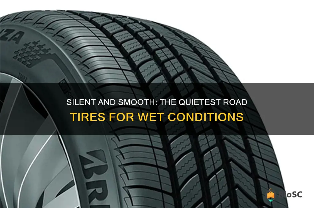 quietest best road tires wet
