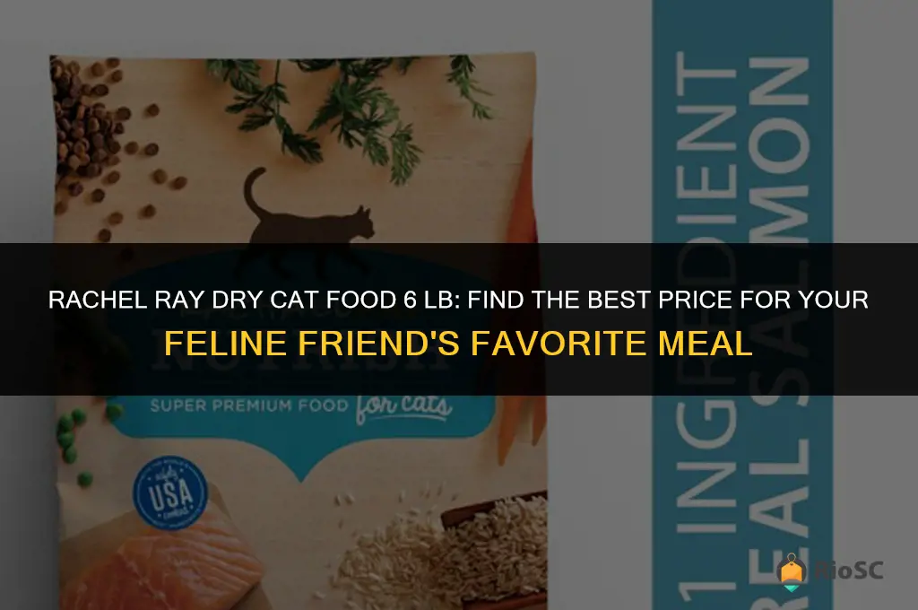 rachel ray dry cat food 6 lb best price