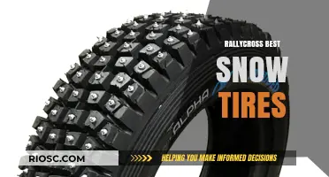 Top Rallycross Snow Tires: Unveiling the Best Performers for Winter Racing