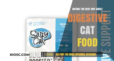 Top Picks for Your Feline Friend: The Best Dry Adult Digestive Cat Foods Reviewed