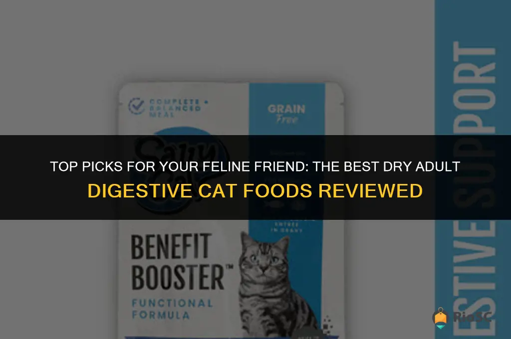 rating the best dry adult digestive cat food