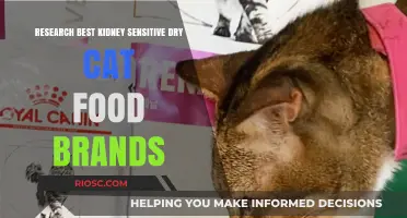 Exploring the Top Kidney-Friendly Dry Cat Food Options: A Comprehensive Guide for Pet Owners