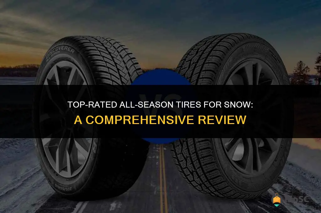 review best all reason tires for snow