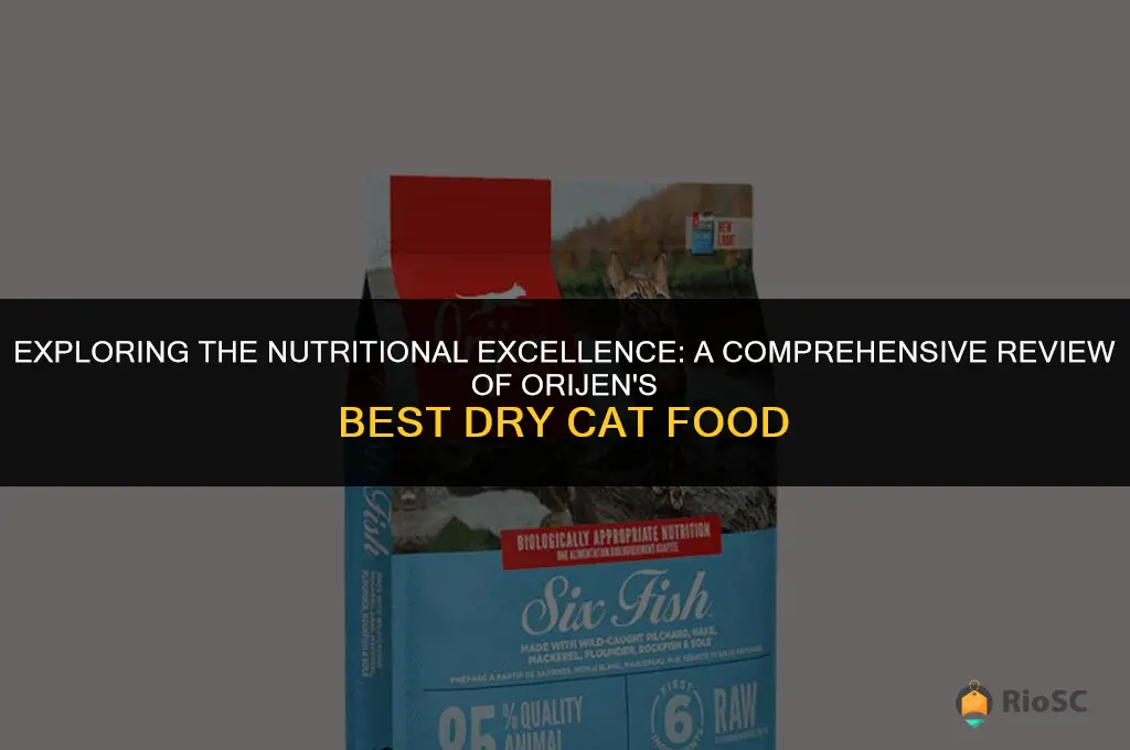 review of orijen best dry cat food