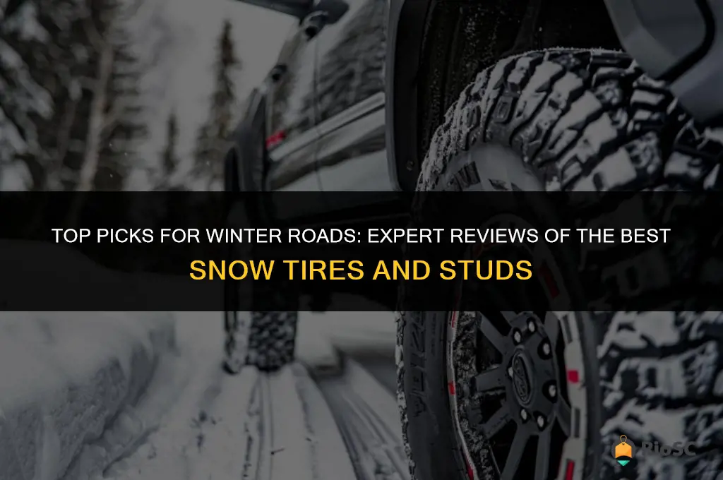 reviews of best snow tires and studs