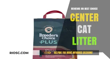 Top-Rated Reviews: Best Choice Center Cat Litter for Happy Cats and Clean Homes