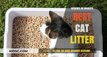 Purr-fect Choices: Unbiased Reviews on the World's Best Cat Litter