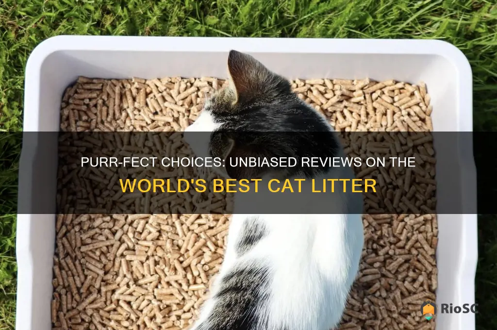 reviews on world