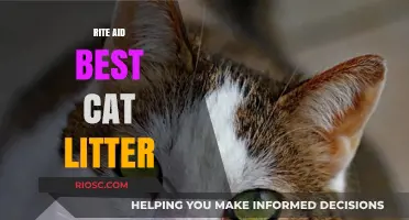 Rite Aid's Top Cat Litter Picks: Finding the Purr-fect Match for Your Feline Friend