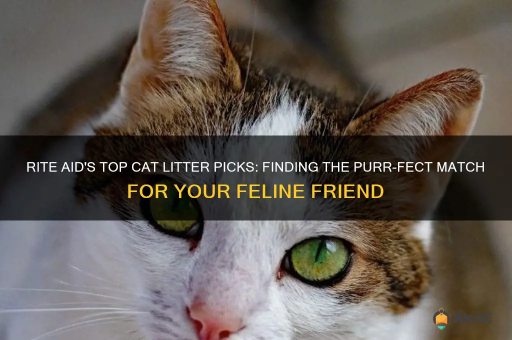 rite aid best cat litter