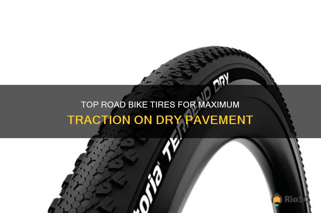 road bike tires best traction on dry roads