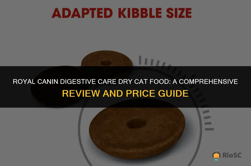 royal canin digestive care dry cat food best price