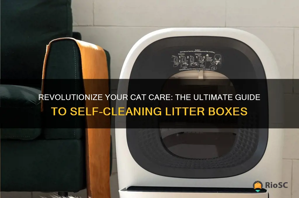 self-cleaning cat litter boxes the best