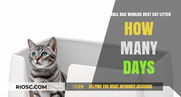 How Long Does a Small Bag of the World's Best Cat Litter Last? A Day-by-Day Breakdown