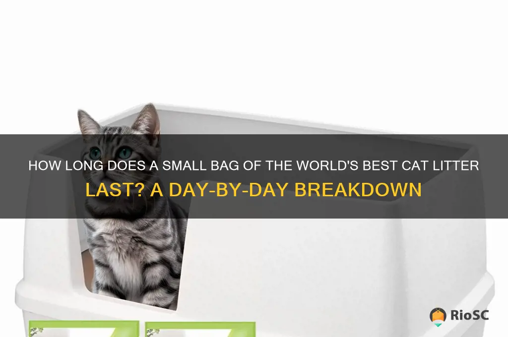 small bag worlds best cat litter how many days