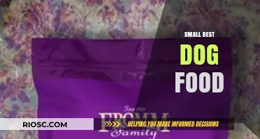 Top Nutritious Small Breed Dog Foods for Optimal Health and Energy