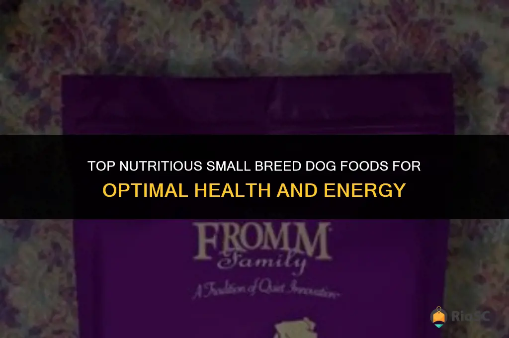 small best dog food