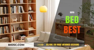 Top Sofa Bed Picks: Comfort, Style, and Space-Saving Solutions for Modern Homes