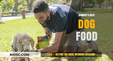 Sunday's Best Dog Food: Top Picks for a Healthy and Happy Canine Companion