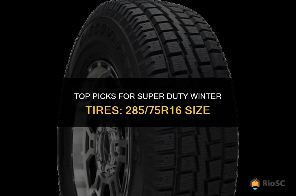 super duty best winter tires 285 75r16