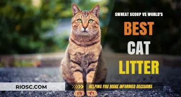Swheat Scoop vs World's Best Cat Litter: Which Eco-Friendly Option Reigns Supreme?